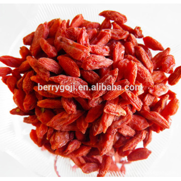 2016 New Arrived Goji Berries